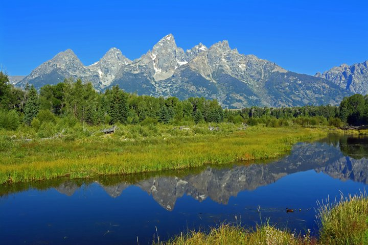 Grand Teton and Yellowstone Self-Guided Driving Tours Bundle - Photo 1 of 24